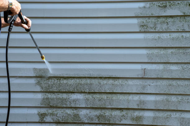 Shed Removal in Garrison, ND